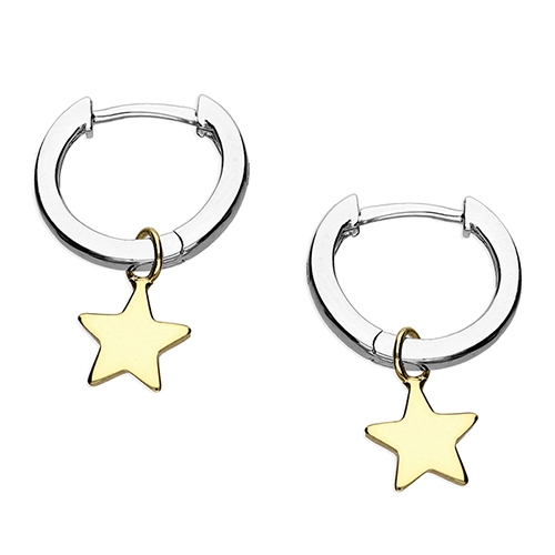 Huggie Hoop Earrings with Star - Sterling Silver & Gold Plated - Wild ...